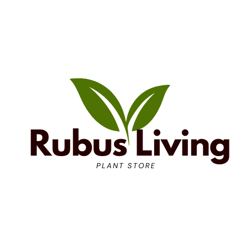 Rubus Living {plant store}